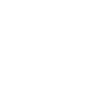 Wells Fargo